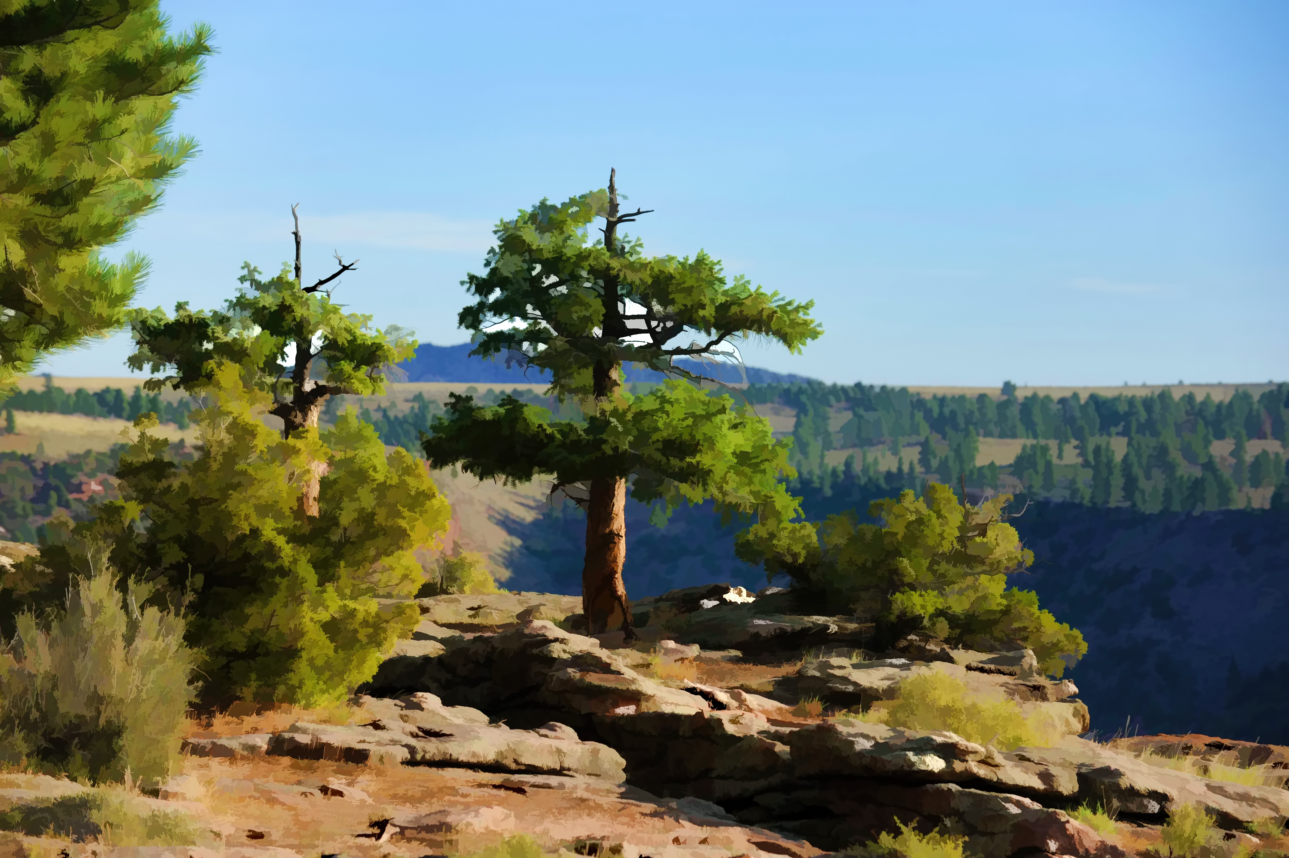 A Tree at Flaming Gorge 25